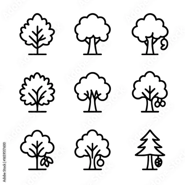 Fototapeta Nut Tree Icon Grid. Outline icon set of nut tree types: almond tree, walnut tree, cashew tree, hazelnut bush, pecan tree,