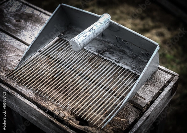 Fototapeta Blueberry Rake