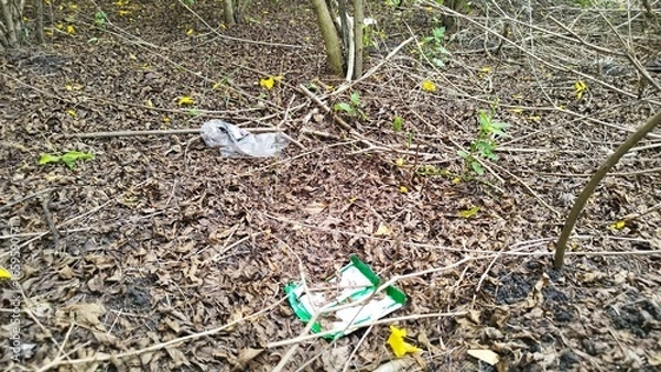 Obraz Plastic waste in the forest 