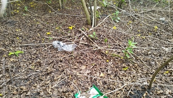 Fototapeta plastic waste in the forest
