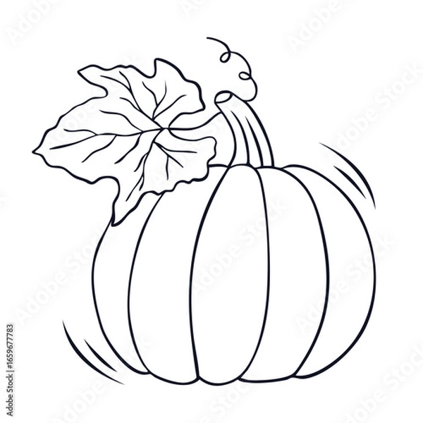 Fototapeta Pumpkin. Simple outline drawing of a pumpkin with a leaf, perfect for autumn, Halloween, and Thanksgiving designs. Ideal for seasonal greetings, decorations, and healthy food concepts. Vector 