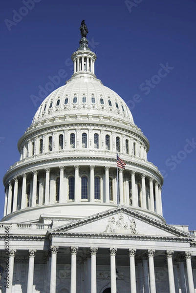 Obraz State Capitol in DC