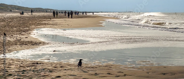 Fototapeta Scenic view of a sandy beach with gentle ocean waves and reflective tidal pools under soft sunlight. People are walking in the distant horizon.