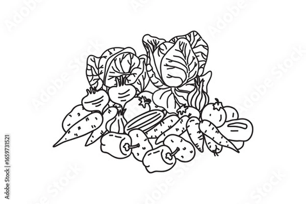 Obraz Set Line art botanical different vegetables isolated on white background.Hand drawn outline veggies with Cabbage Carrot Pepper Onion Potato Tomato vector illustration.Graphic design element collection