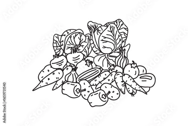Obraz Set Line art botanical different vegetables isolated on white background.Hand drawn outline veggies with Cabbage Carrot Pepper Onion Potato Tomato vector illustration.Graphic design element collection