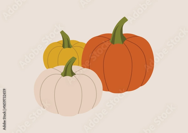 Fototapeta Three pumpkins in different colors with green stems, simple seasonal vegetable symbol of autumn harvest and Halloween decoration. Flat vector illustration