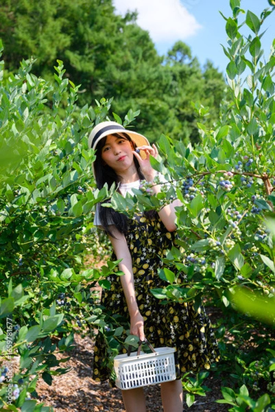 Fototapeta 農園でブルーベリー狩りを楽しむ麦わら帽子の女の子
