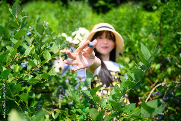 Fototapeta 農園でブルーベリー狩りを楽しむ麦わら帽子の女の子