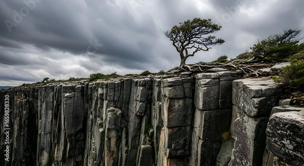 Fototapeta Lone Tree Standing on Dramatic Cliff Edge in Tasmania