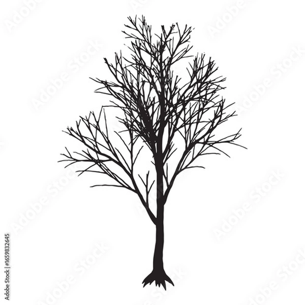 Obraz Leafless Tree Illustration