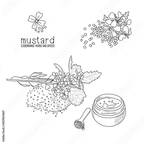 Obraz Hand-drawn mustard with a line art engraved style.