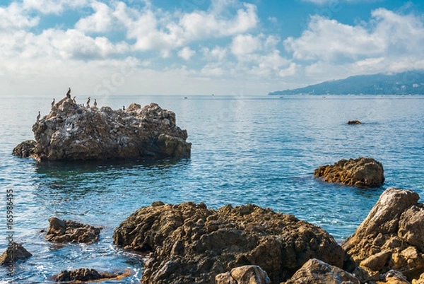 Obraz Black Sea wild water-scape with group of cormorants sitting on a big rock