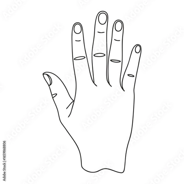 Obraz Human hand line art.