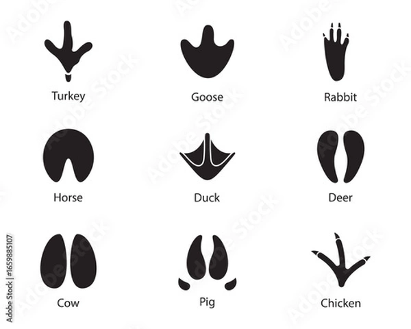 Obraz Animals footprints Set