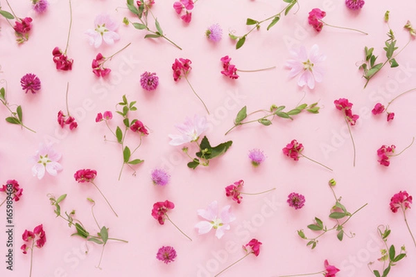 Obraz Pink flowers  on a pink background. Abstract floral composition. Pattern of plants and flowers. Top view, flat lay. Floral, plants background.