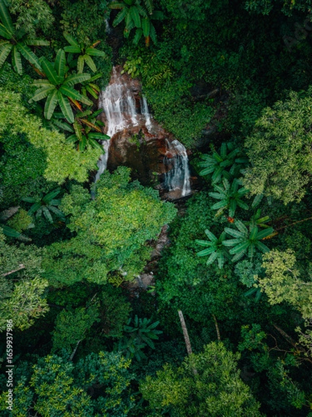 Fototapeta Aerial view of waterfalls and rainforests, forests and environmental conservation
