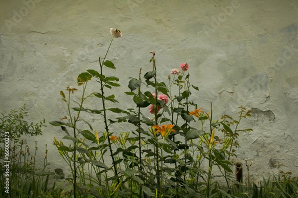 Obraz 街角にひっそりと咲く花たち