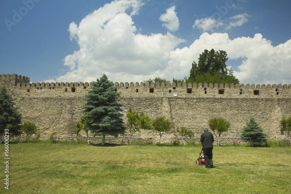 Obraz 草を刈るおじさんと青空