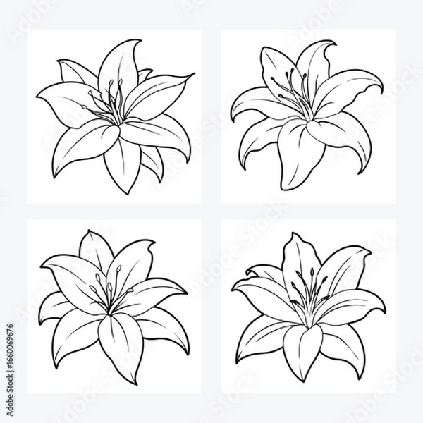 Obraz Lily flower vector art design