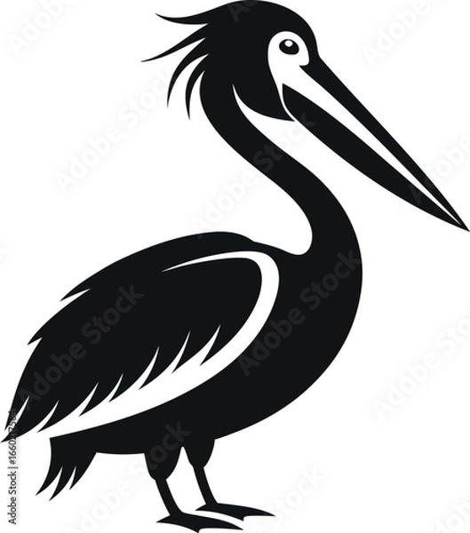 Obraz Elegant pelican silhouette on clean white background