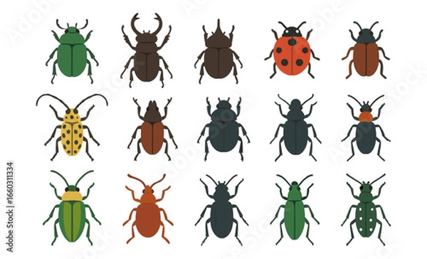 Fototapeta Colorful flat style insect collection featuring diverse beetles and bugs