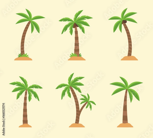 Fototapeta Palm tree collection. Colored vector flat illustration. 