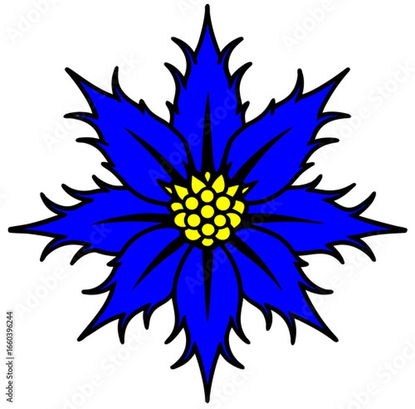 Obraz sea flower vector illustrations