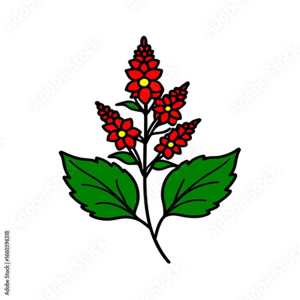 Fototapeta astilbe flower vector icon