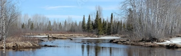 Fototapeta A tranquil river winding through a springtime forest.