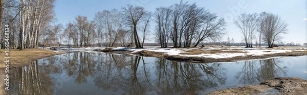 Fototapeta A tranquil spring scene of a river reflecting trees.