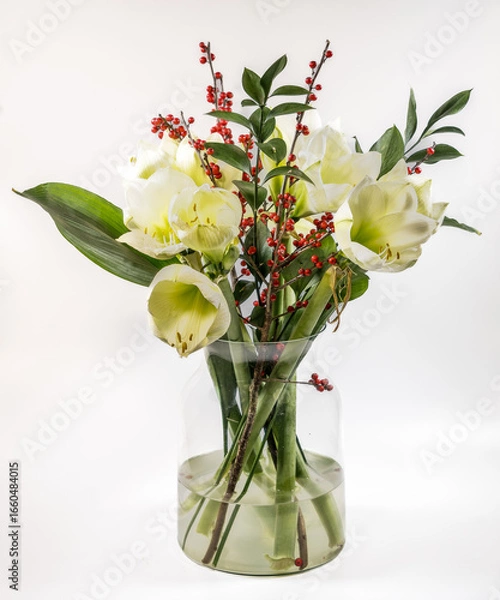 Fototapeta White Amaryllis and red holly berry bouquet in a clear glass vase on a white background.