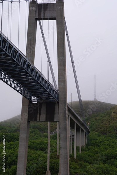 Fototapeta Suspension bridge with forest in the background