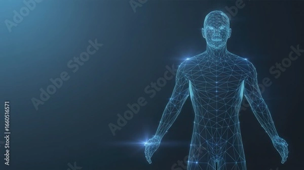 Fototapeta Futuristic digital human anatomy model glowing with blue light and intricate details against a dark background