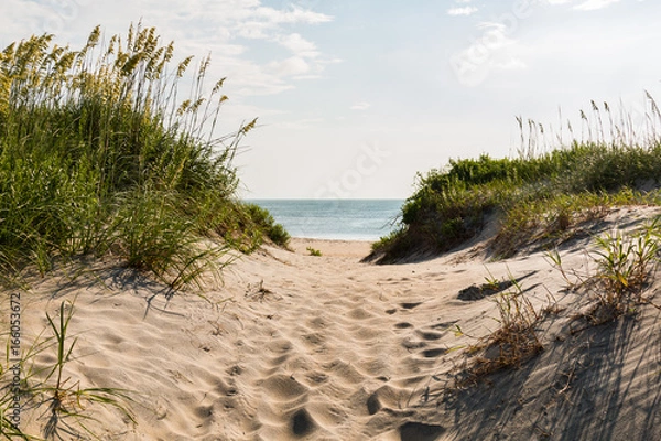 Obraz Piaszczysta ścieżka do plaży Coquina na Outer Banks w Karolinie Północnej w National Seashore Cape Hatteras.