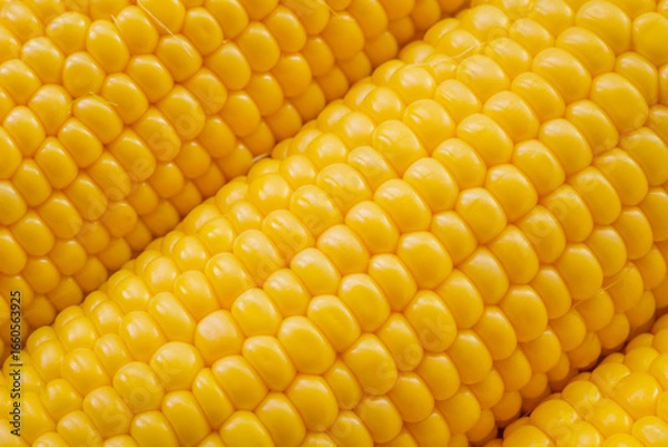 Fototapeta Yellow corn background macro view