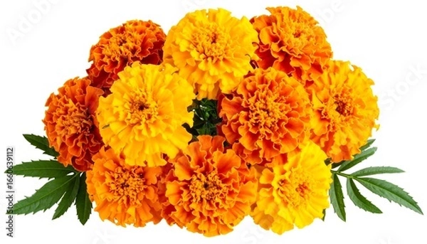 Obraz Orange marigold bouquet
