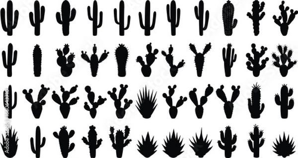 Fototapeta Cactus silhouette collection, desert plant vector, black cactus icon, succulent shapes, botanical illustration, nature elements, prickly design set