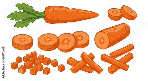 Fototapeta A vibrant vector illustration showcases a variety of fresh carrots, whole, sliced, and diced, perfect for culinary or educational purposes with a clean, appealing aesthetic.