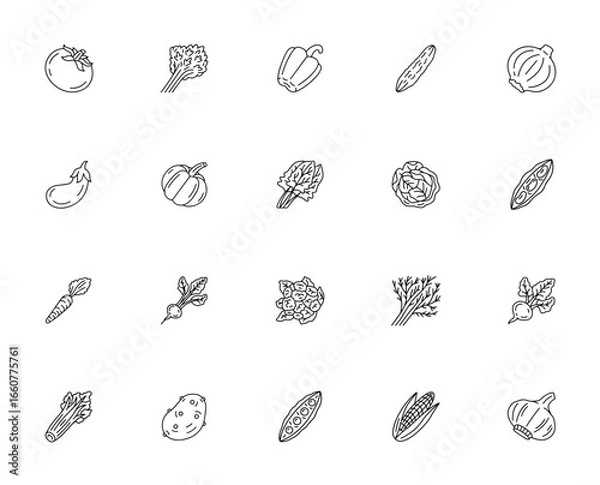 Obraz Vegetables icon set. Minimalist vector illustration. Includes symbols for tomato, parsley, pepper, cucumber, onion, eggplant, pumpkin and more. Editable stroke.