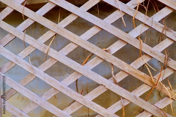 Obraz beautifully crafted wooden trellis with a natural brown finish, featuring a checkered pattern and textured surface. Adorned with climbing vines, it blends decorative elegance with the charm of nature,
