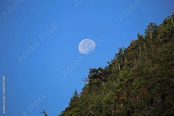 Obraz 道の駅十津川郷からの満月