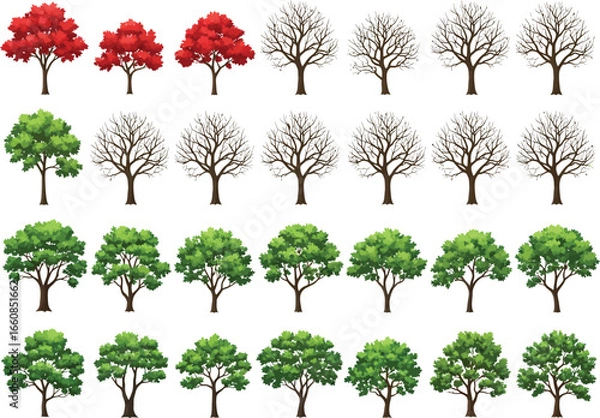 Fototapeta Collection of diverse trees in various stages of seasonal change from vibrant autumn foliage to bare winter branches and lush green summer leaves