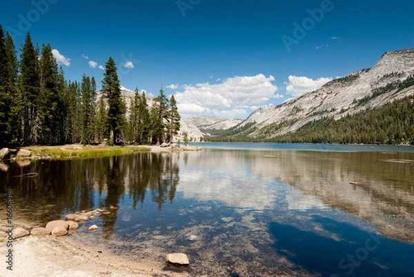 Fototapeta tenaya lake yosemite