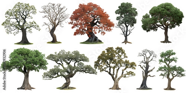Fototapeta Cutting trees shapes on transparent backgrounds 3d render png.