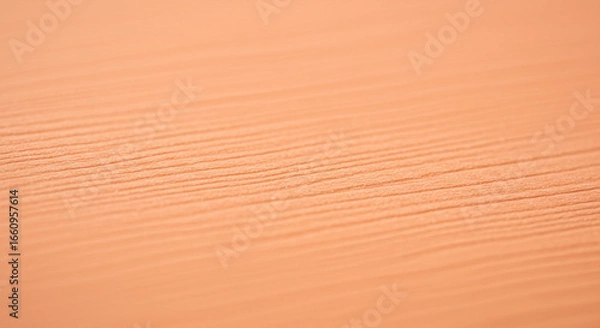 Obraz Abstract Desert Sand Dune Texture Background