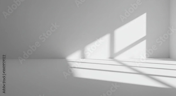 Obraz Abstract White Room Interior with Light and Shadow