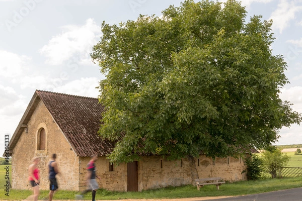 Fototapeta Scheune mit Joggern und Baum
