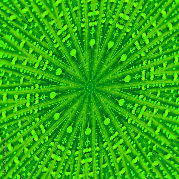 Fototapeta Regentropfen