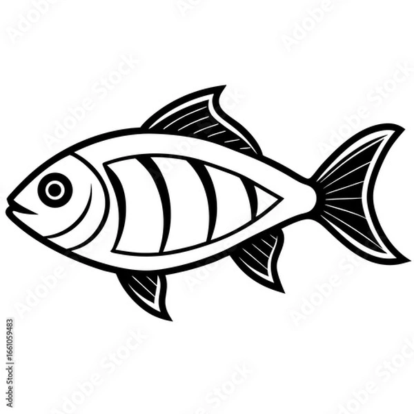 Obraz fish vector illustration