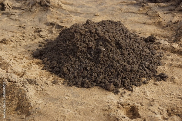 Obraz Maulwurfshaufen